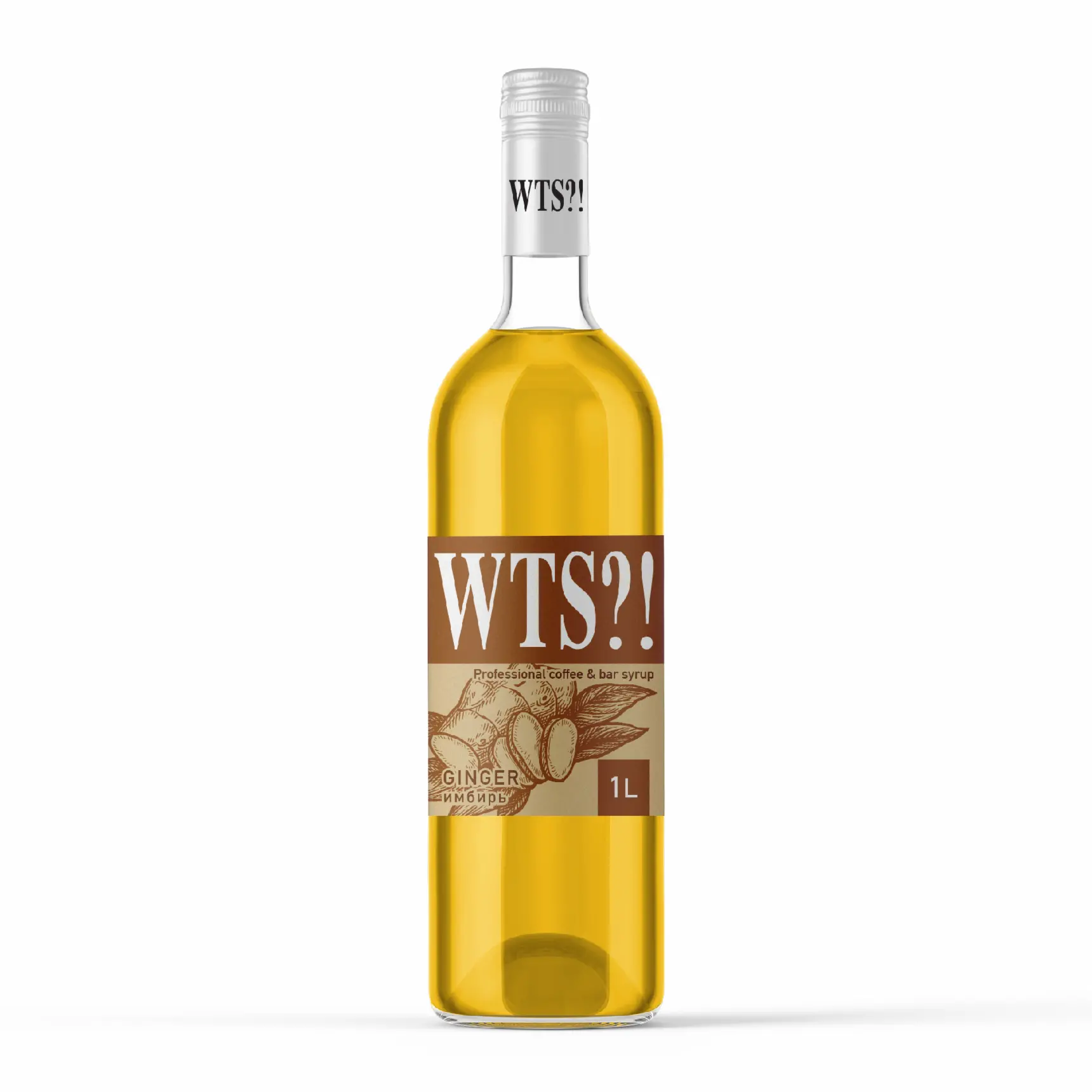 1 шт х Сироп WTS со вкусом Имбирь 1 л