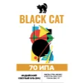 70 IPA