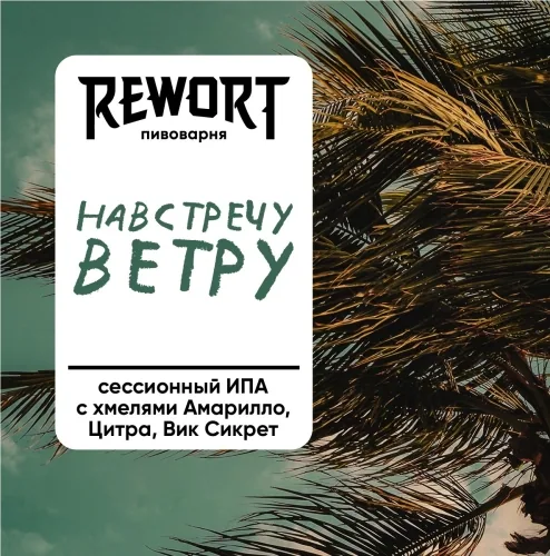 Навстречу ветру