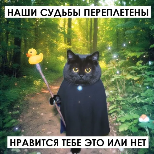 Оракул