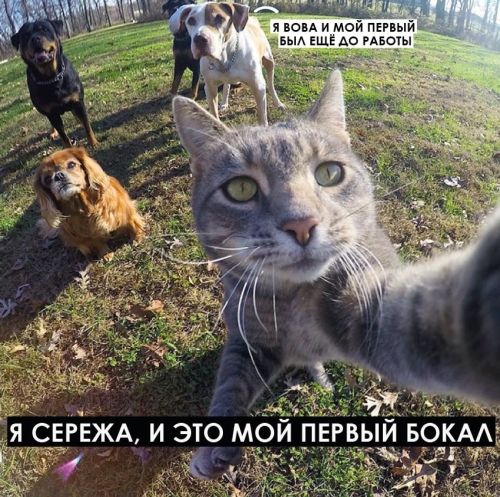 ПЕРВЫЙ БОКАЛ