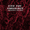 Vivid Vibe: Pomegranate