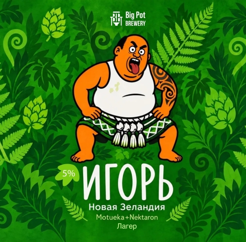 ИГОРЬ В НОВОЙ ЗЕЛАНДИИ